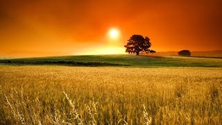 ADORACION INTIMA  AL DIOS DEL CIELO MUSICA CRISTIANA