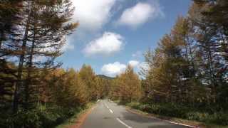 長野県　乗鞍エコーラインの紅葉