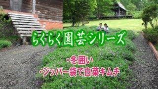 河村通夫のらくらく園芸11年11月 冬囲い、ジッパー袋で白菜キムチ