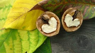 Пять продуктов, от которых стареют
