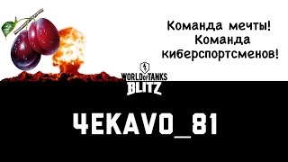 Слив... один в поле НЕ воин! без комментариев  | WoT Blitz