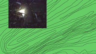 Know Deer Behavior and How to Use Topography