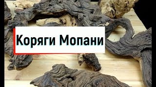 Коряги Мопани для аквариума. Обзор
