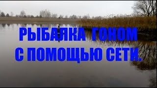 ОСЕННЯЯ РЫБАЛКА СЕТЬЮ/Как загнать рыбу в сеть/ВСЕГДА С РЫБОЙ.