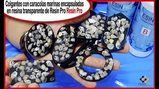Colgantes con caracolas marinas encapsuladas con resina transparente de Resin Pro