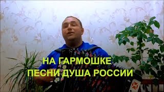 Застольные песни для Души на гармони