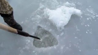 Установка сетей зимой, запускаем под лед, подробно. fishing with nets.