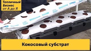 Новинка! Впервые используем «Кокосовый субстрат»