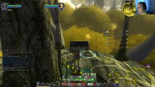 Властелин колец онлайн(LOTRO). #100 Защитник Лотлориена!