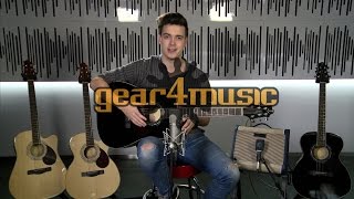 Greg Bennett D-5 and OM-5 Guitars