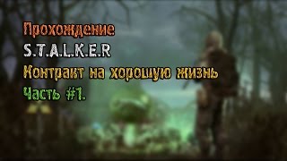 Прохождение S.T.A.L.K.E.R  Контракт на хорошую жизнь Часть 1.
