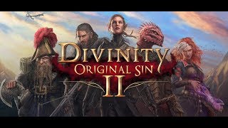 Divinity: Original Sin 2. Прохождение#87. Входим в Аркс