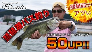 【琵琶湖バス釣り】競艇場前にてバイト多数！テキサスリグで50アップ