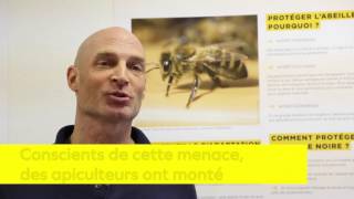 "L'abeille locale est menacée", Nicolas Laarman, délégué général de POLLINIS
