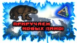 ARK: Survival Evolved! Приручаем новых дино!