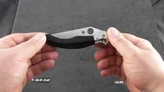 SC173GP Spyderco Hungarian Folder G-10