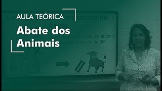Concurso Veterinário MAPA - Aula sobre Abate dos Animais