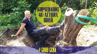 Как я корчевал 40-летние пни с помощью лебедки