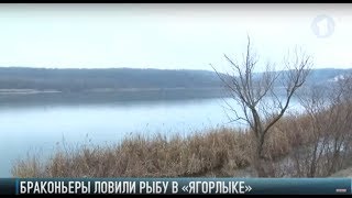 Незаконная рыбалка. Браконьеры в «Ягорлыке»