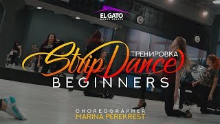 Training | Strip Dance | Beginners| Marina Perekrest