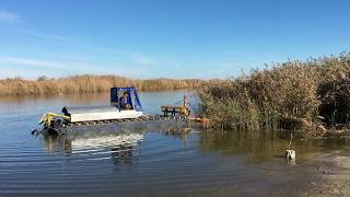 Как косить камыш с воды