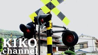 踏切 近鉄電車と阪神電車の通過列車集 近鉄奈良線の瓢箪山4号から railroad crossing japan vol.1