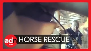 Dramatic Video Shows Police Rescuing Horse From Burning Barn