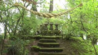 伊藤家、柳沼家の氏神を祀る八幡神社　福島県須賀川牡丹園にて　2016年5月3日撮影　00454