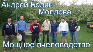 Пчеловодство Андрея Бодина. Молдавское пчеловодство