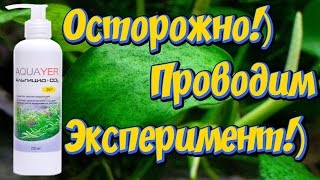 Как избавиться от водорослей ксенококуса в аквариуме с помощью альгицида + CO2