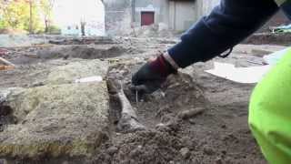 Visite du chantier d'archeologie préventive de Villenave d'Ornon