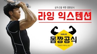 삼두운동 라잉 트라이셉스 익스텐션을 초보자도 쉽게 배워봅시다