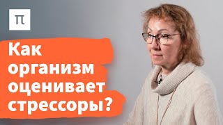 Общий адаптационный синдром — Анна Усенко 