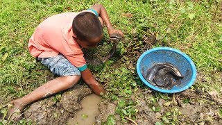 Hand Fish Catching ! Boy catching Giant Catfish by Hand in Mud Water | Deep hole Fishing (Part-4)