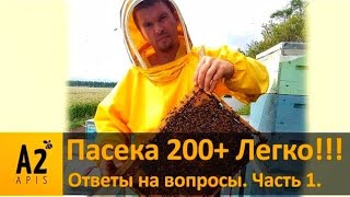 Vlad Belozerov #1: Пасека 200+Легко!!! Ответы на вопросы зрителей