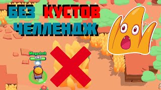 БЕЗ КУСТОВ ЧЕЛЛЕНДЖ В BRAWL STARS!