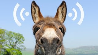 Как легко и просто настроить Wi-Fi адаптер