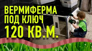 Обзор фермы для разведения червей .Дождевые черви.  Вермикомпост. Дендробена венета