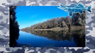 Ловля Окуня . Уловистая Приманка Пуля , Грушка , Кукурузка на Ультралайт