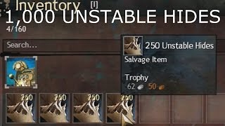 Salvaging 1,000 Unstable Hides  |  Guild Wars 2