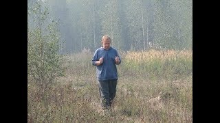Биолокация поиск водяных жил и родников Курс обучения
