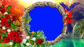 Green Screen Wadding Background Frame Video Animated | Wadding Background Green Screen Video