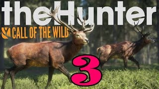Прохождение игры Thehunter call of the wild. #3 Фото Лани - 2?