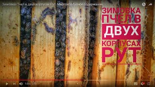 Зимовка Пчел в двух корпусах Рут. Многокорпусное содержание.