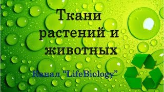 Ткани растений и животных