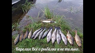 Поиск и ловля хариуса на искуственную мушку