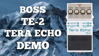 Boss TE-2 Tera Echo Demo (Freeze Function Explanation.)