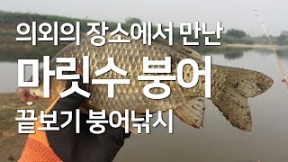 릴 끝보기 붕어낚시, 의외의 장소에서 만난 안성천 붕어들