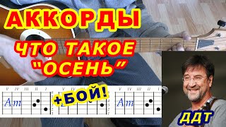 Аккорды ДДТ "Осень" разбор на гитаре (видеоурок).