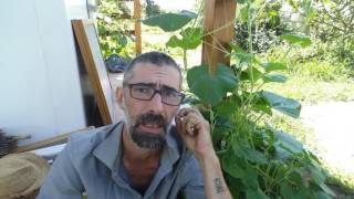 Permacultura & Transizione - Intervista a Nicola Savio di OrtodiCarta